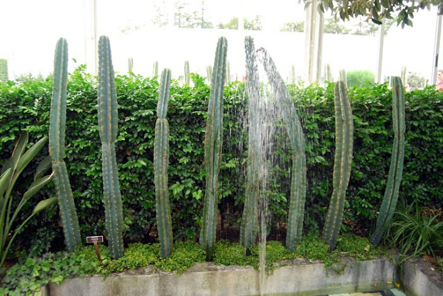 frida kahlo at the botanical gardens http://schulmanart.blogspot.com/2015/07/happy-birthday-frida-kahlo.html