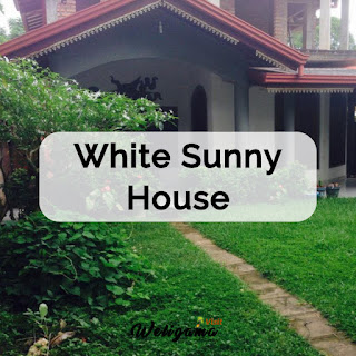 White Sunny House | Rent Houses and Apartments in Weligama Sri Lanka