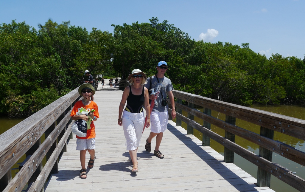 Ile de Sanibel Floride Plage Bowman