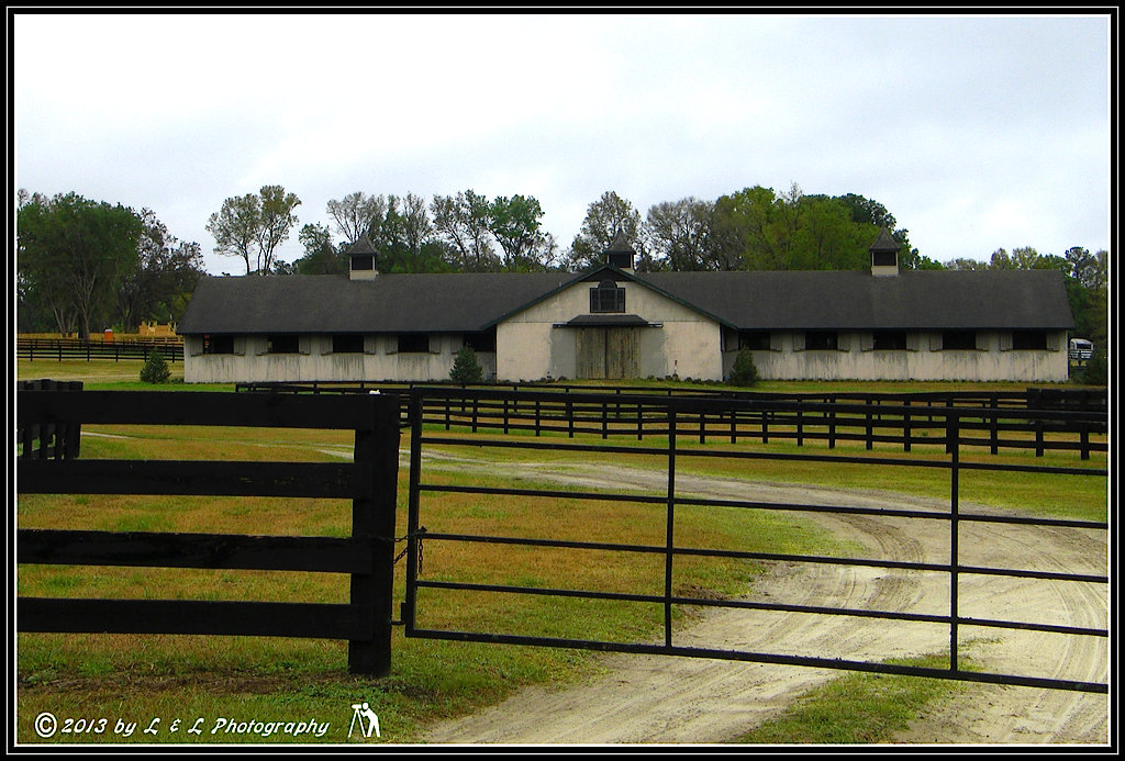 Ocala, Central Florida & Beyond Horse barn southeast Ocala