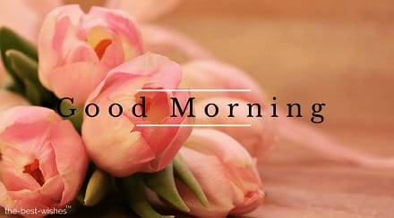 beautiful-monday-morning-images beautiful monday morning images
