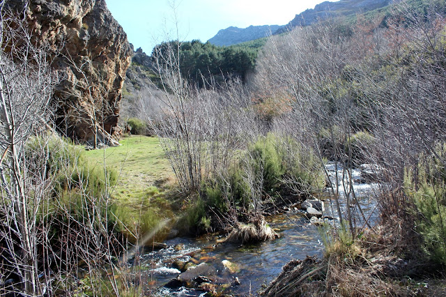 Arroyo de la Angostura