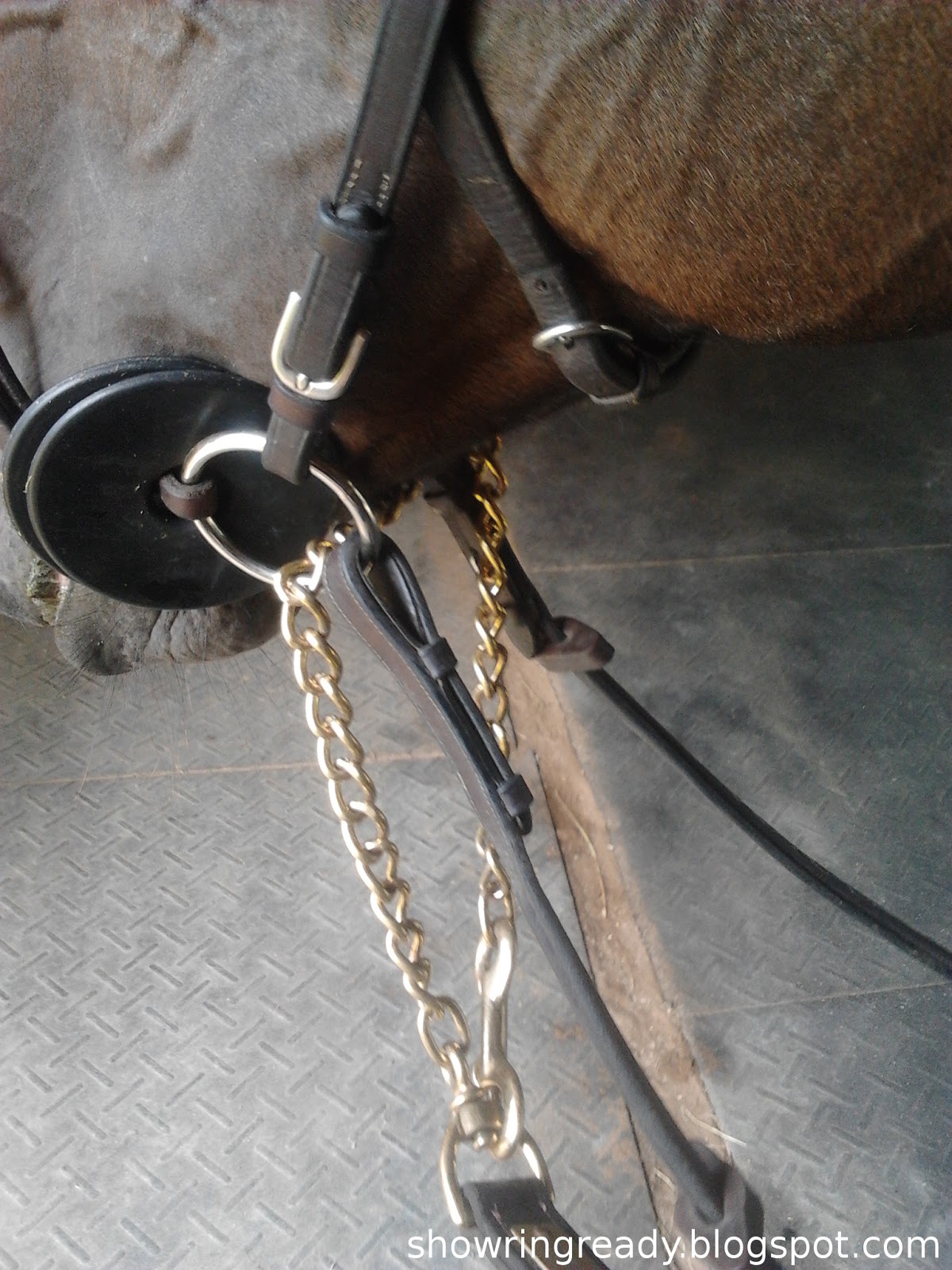 Show Ring Ready How to Attach a Lead Shank to the Bit