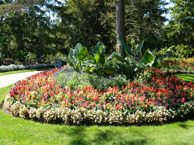 Edwards Gardens annual bedding plants by garden muses-not another Toronto gardening blog