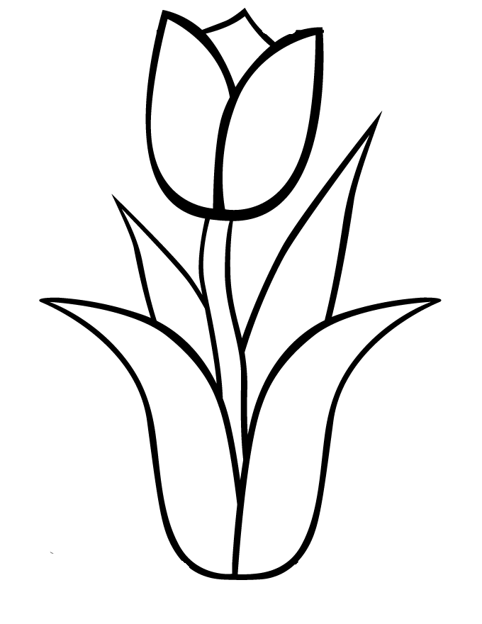 desenho flores hola klonec co