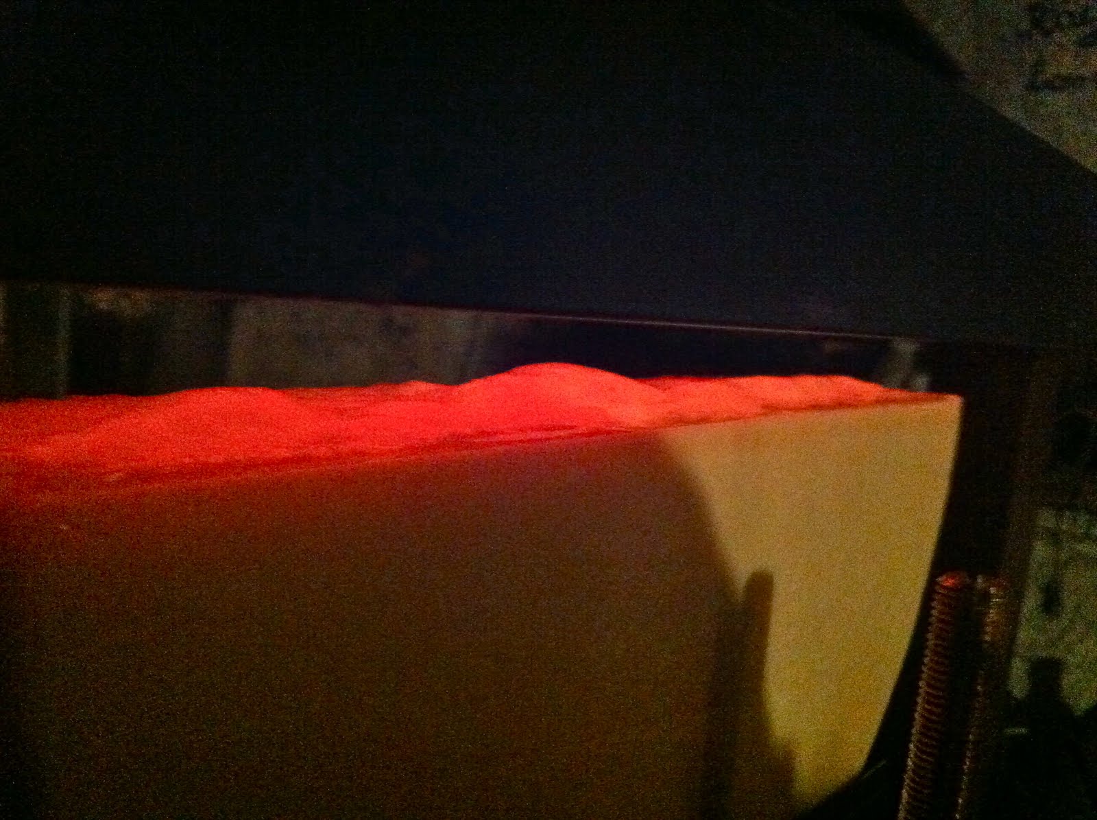not drinking poison in paris: n.d.p. en suisse: raclette dinner