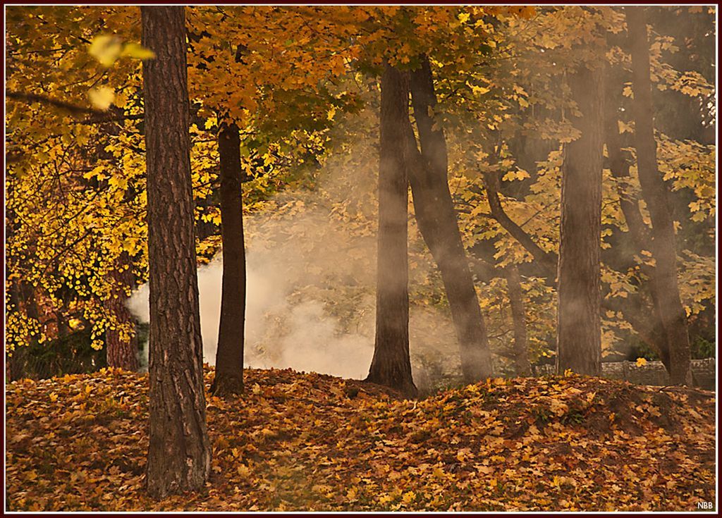 листья жгут листья жгут листья. городские цветы ноты для синтезатора. листья жгут. листья жгут листья жгут текст. ноты и аккорды для синтезатора популярных песен.