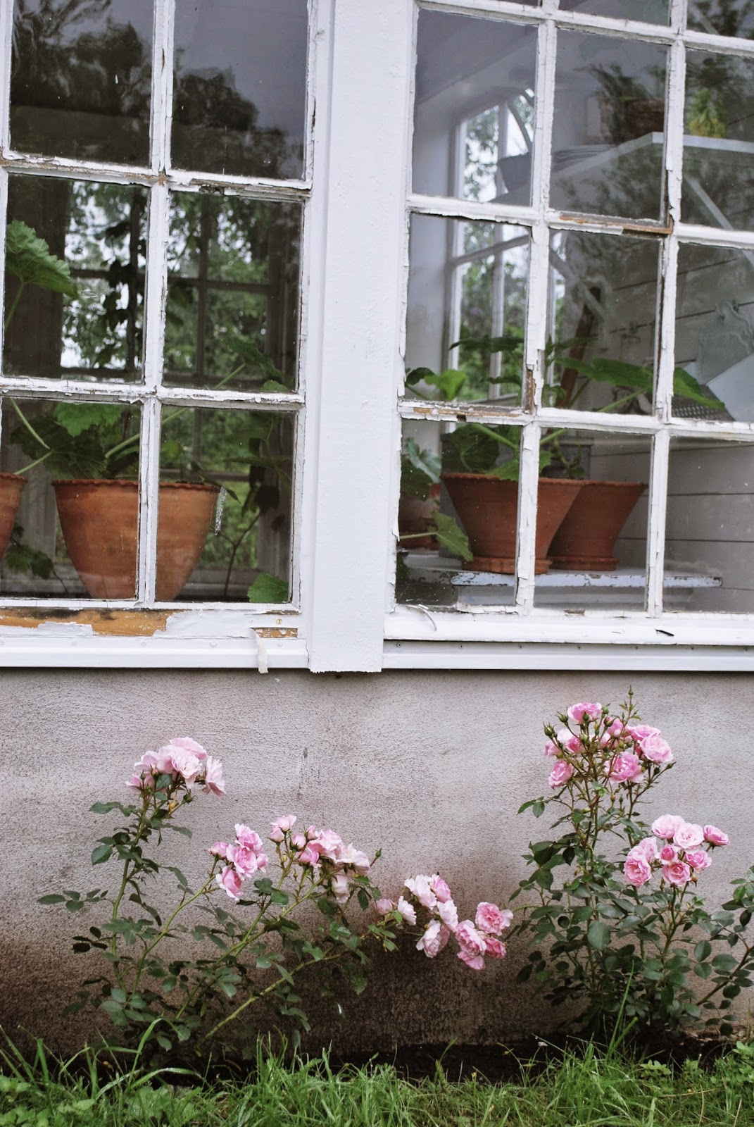 Детский день рождения в саду...