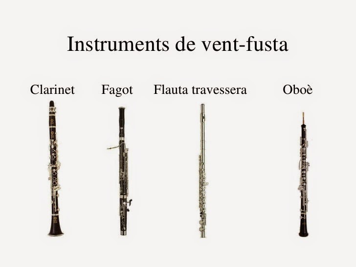 Instrument De Vent De Fusta