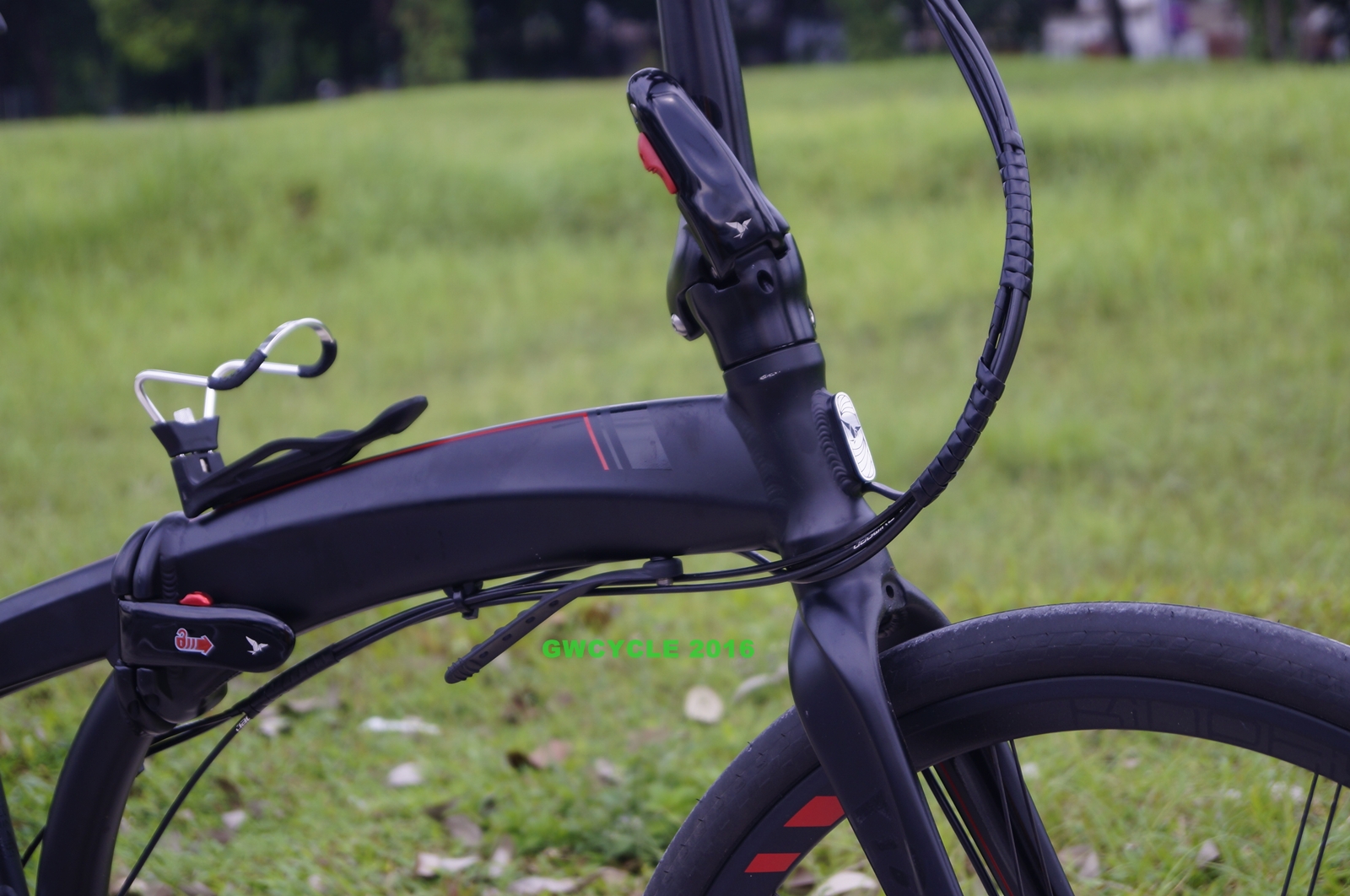 specialized allez elite green