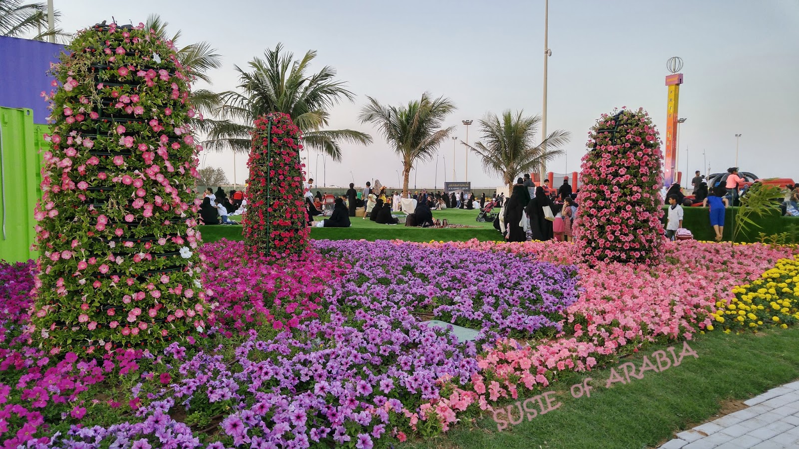 Jeddah Daily Photo SkyWatch Yanbu Flower Festival