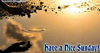 have a nice sunday images happy sunday images