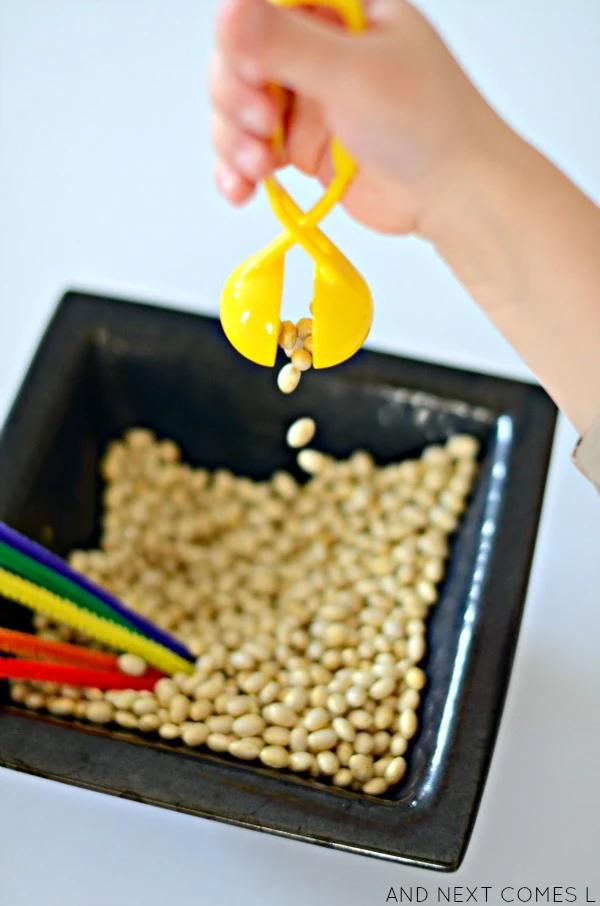 Scooping golden dyed beans from a St. Patrick's Day sensory activity from And Next Comes L