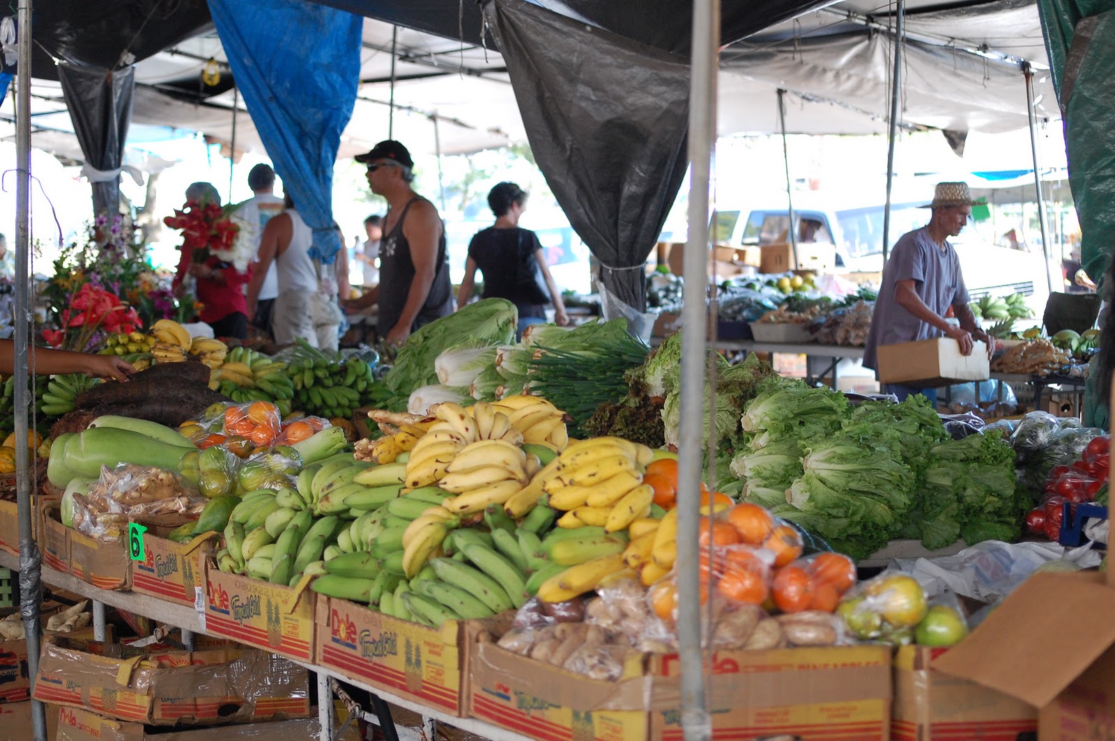 Pakalana Inn, Hilo, Hawaii Farmers Market next to Pakalana Inn