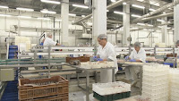 HRT video Sardina Postira slike otok Brač Online HRT video Sardina Postira slike otok Brač Online