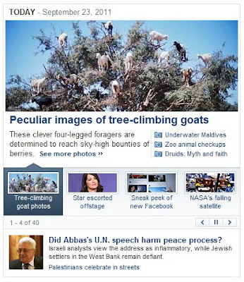 Yahoo and the goats in the trees