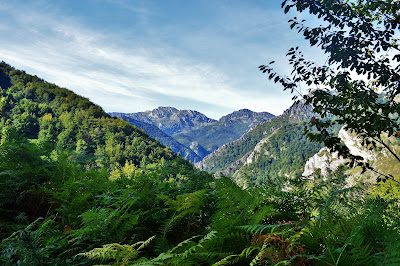 Ruta Bezanes-Brañagallones. Caso ( Asturias ) Las Recetas de Noe