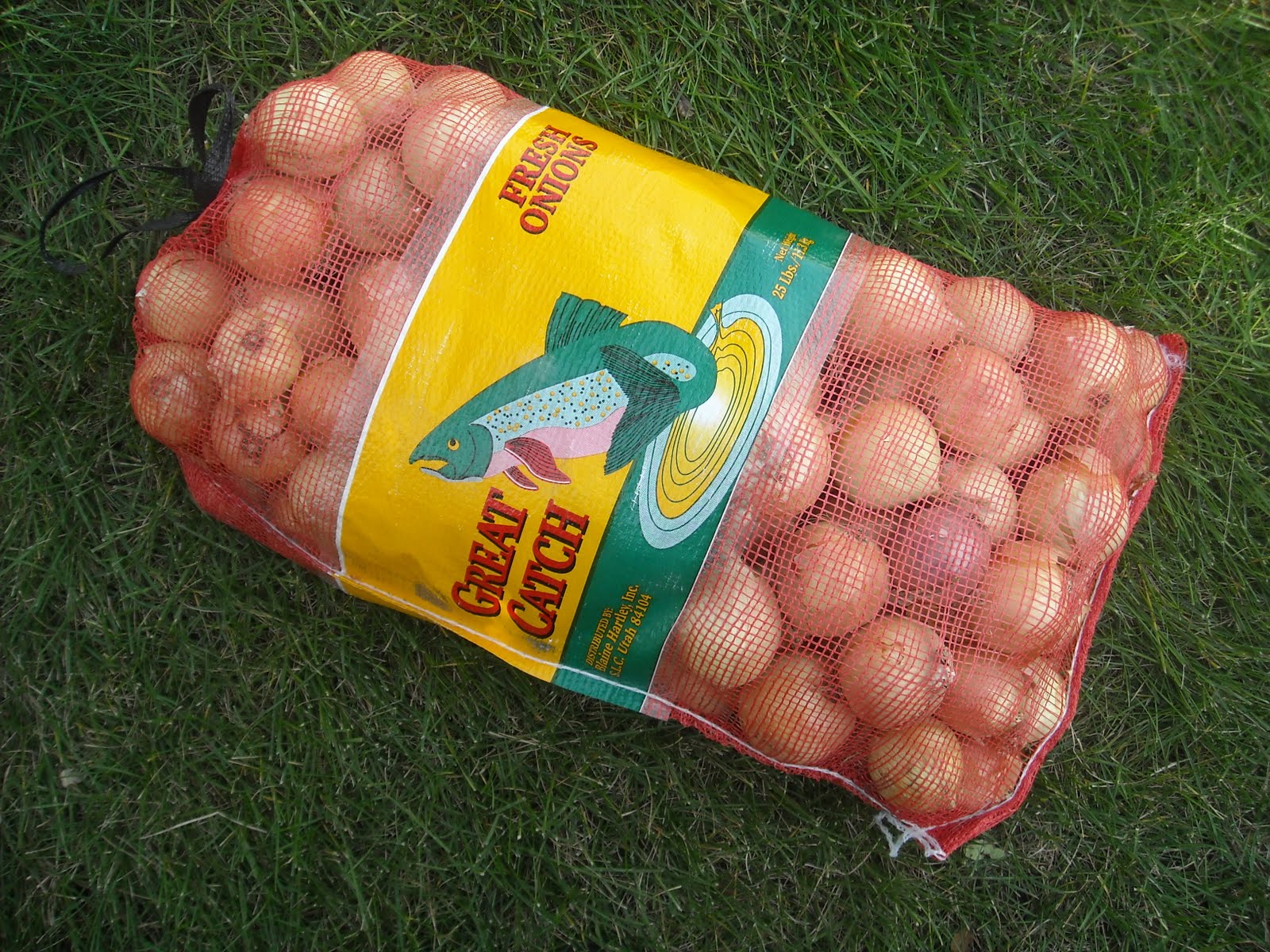 Old DaysOld Ways Fall Food RitualsOnions