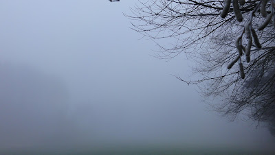 Dichter Nebel Dichter Nebel