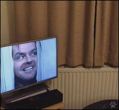 Funny Cat GIF • When your funny Kitty is doing a fairly decent impression of Jack Nicholson in The Shining. Funny Cat GIF • When your funny Kitty is doing a fairly decent impression of Jack Nicholson in The Shining.