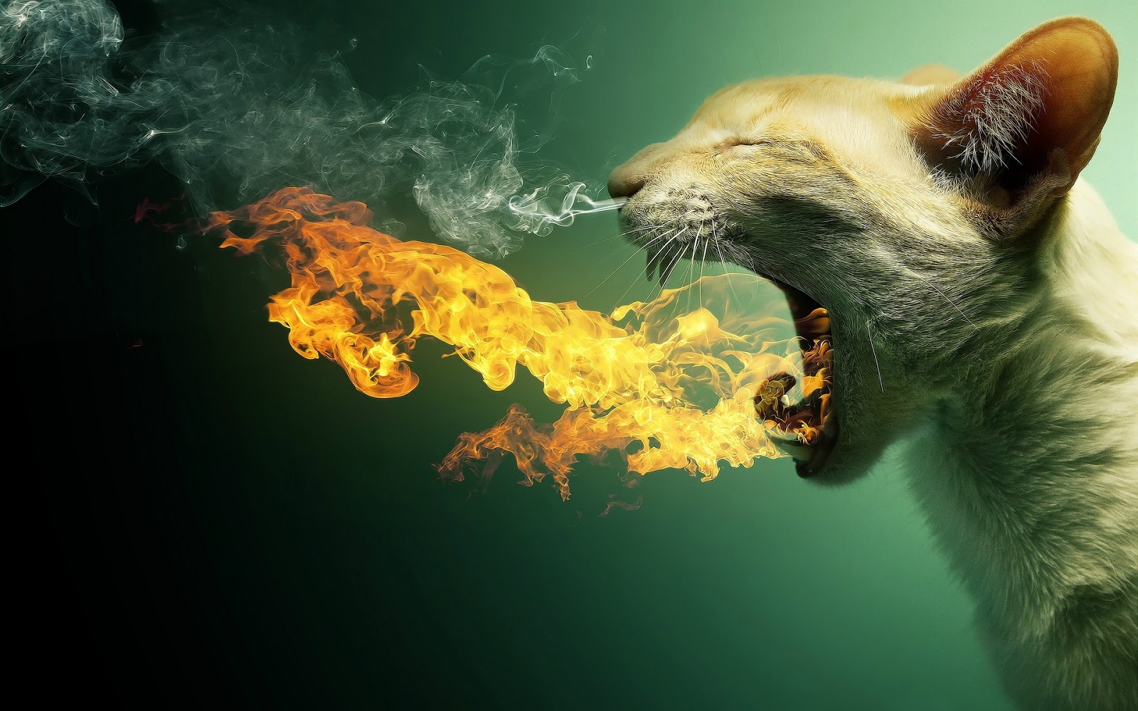 Surreal Wallpapers Surreal Wallpapers