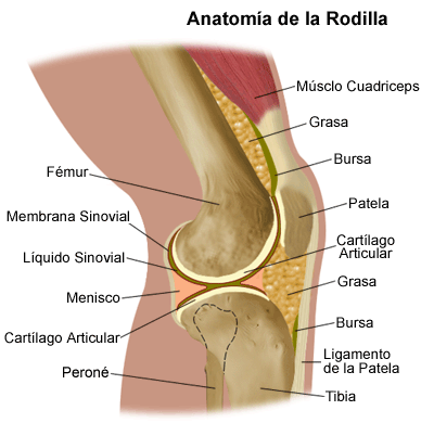 ciática en la articulación de la cadera