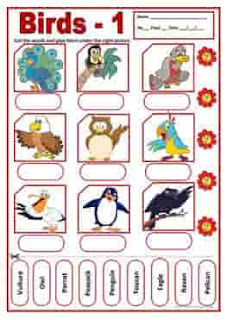 birds-games-icebreakers-wordsearches_1 birds-1-activities-wordsearch-ESL-EFL-downloadable-printable-worksheets-practice-exercises-and-activities-to-teach-about-birds-picture-dictionaries