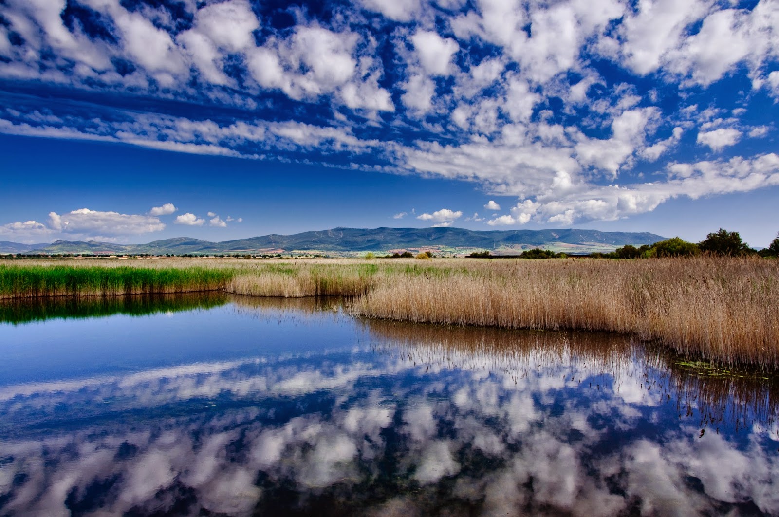 PARQUE NACIONAL DE LAS TABLAS DE DAIMIEL