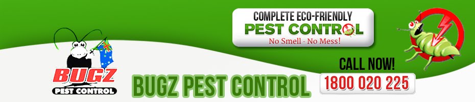 Pest Control Sydney | Bugz Pest Control (02) 9522 2333