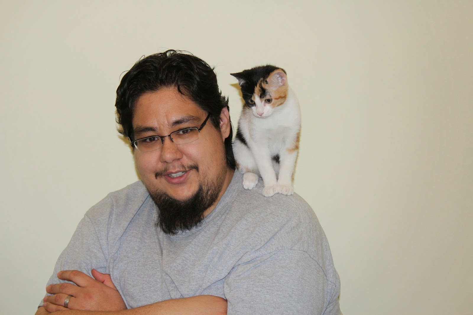 Crazy Calico Cats Jack the Calico Owns Me!