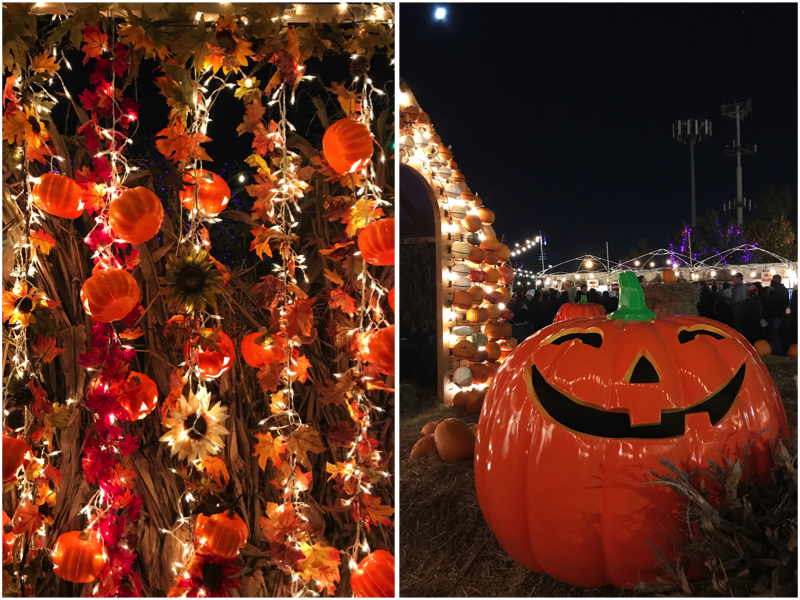 Chicago Hotspot // Jack's Pumpkin PopUp Lavender Elizabeth