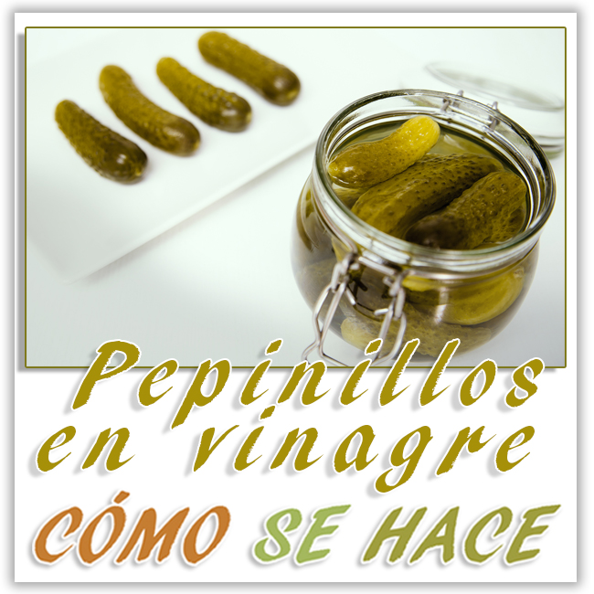  pepinillos en vinagre