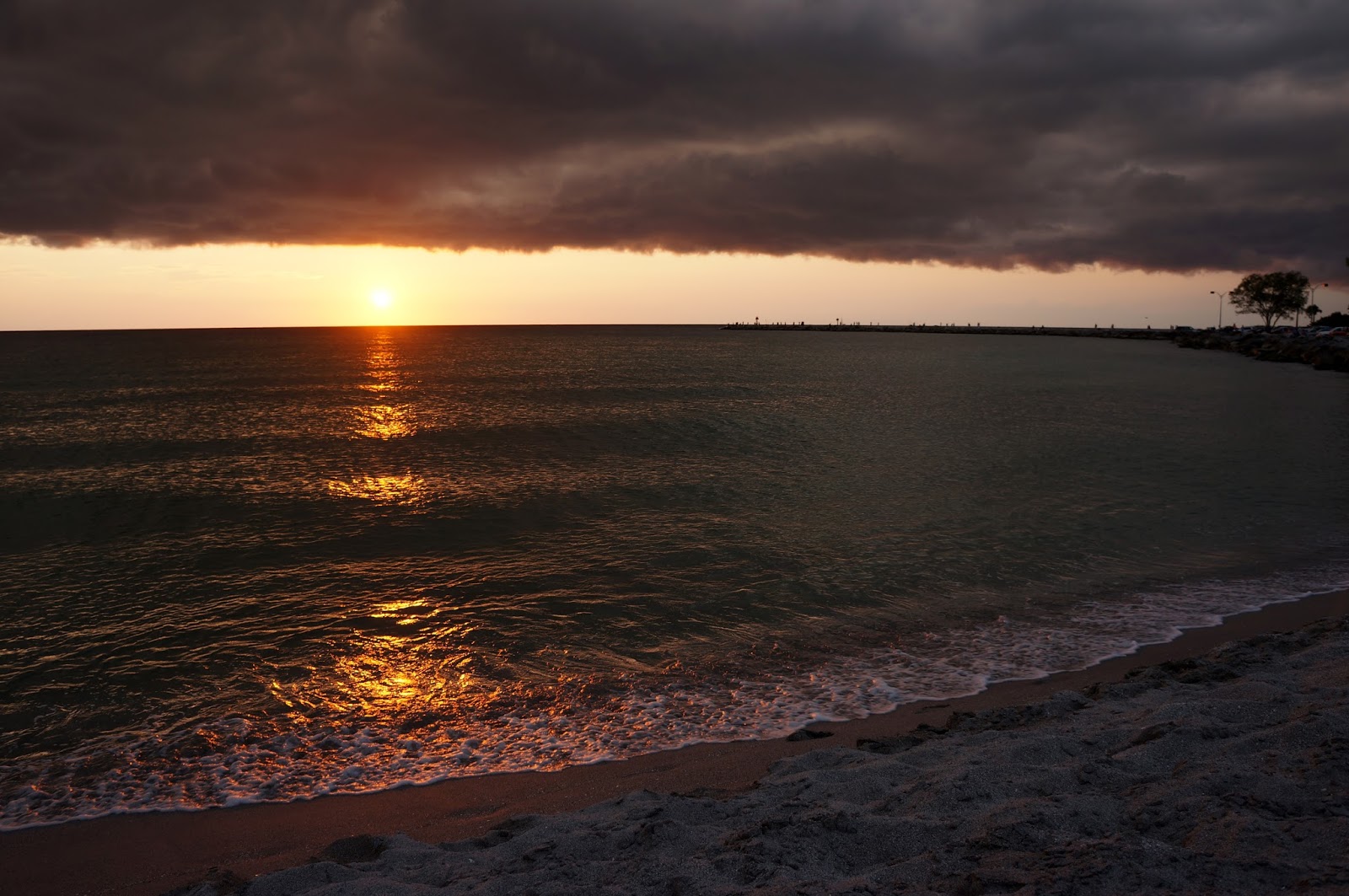 musings florida snow shovel