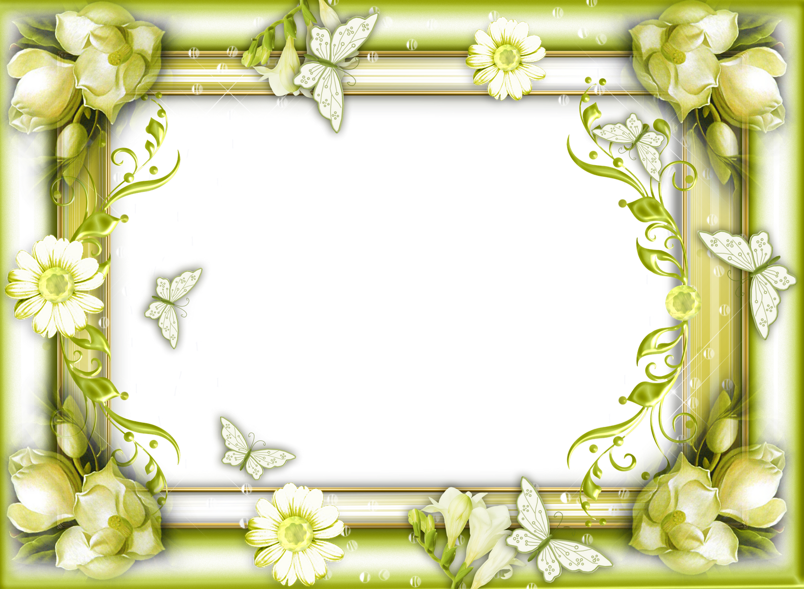 marcos para photoshop marcos florales marcos de fotos de flores