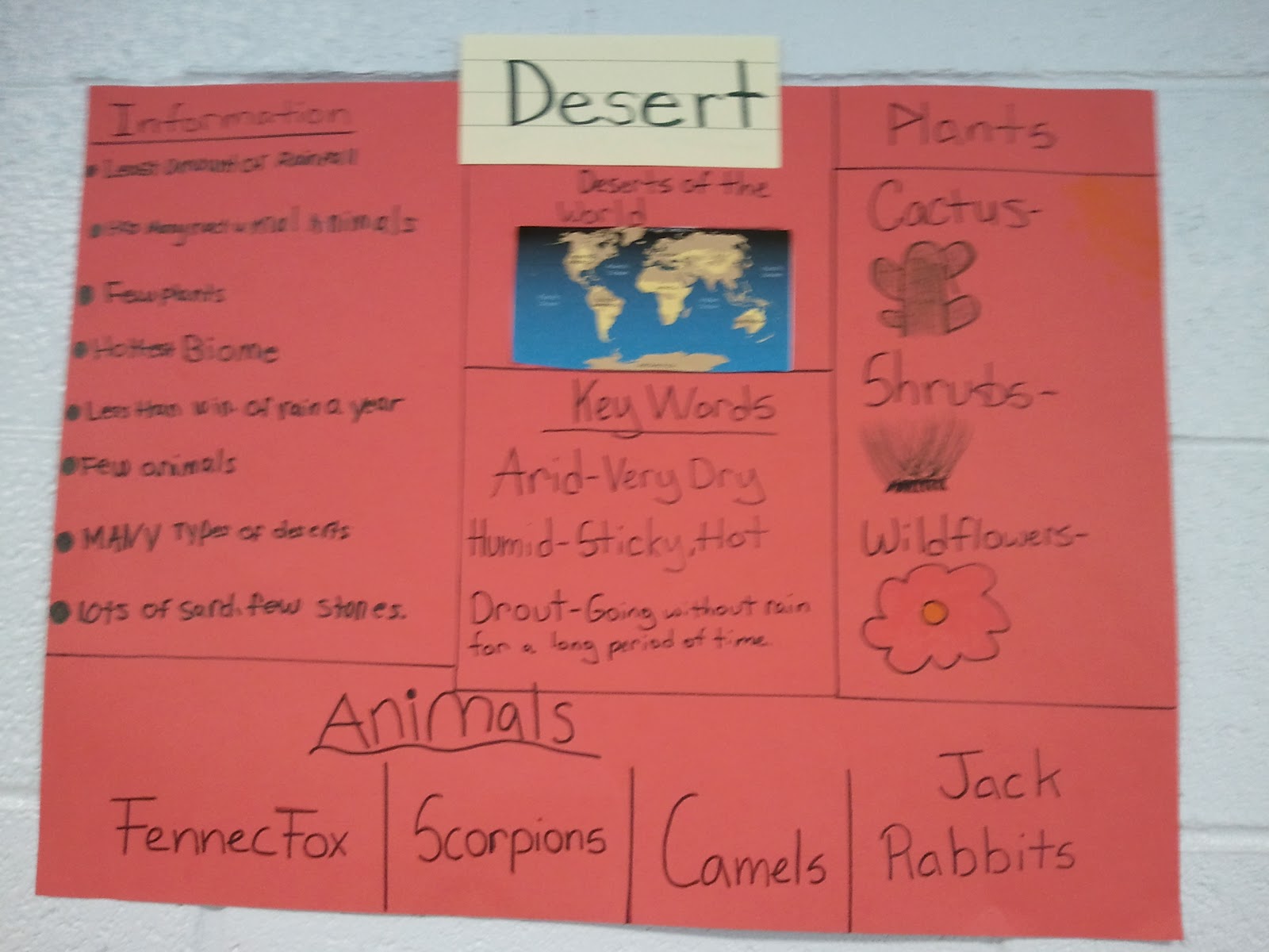 Mrs. Millsaps' 5th Grade Class: Feb. 6th-Feb.10th