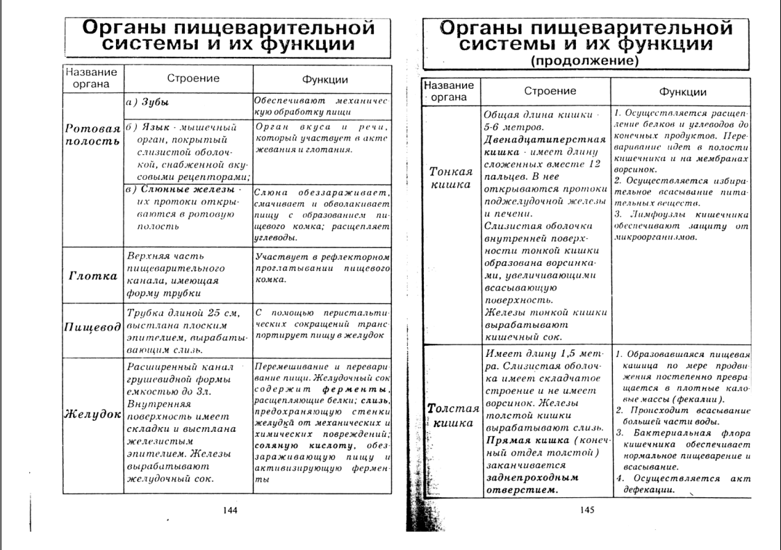 ПИЩЕВАРИТЕЛЬНАЯ СИСТЕМА
