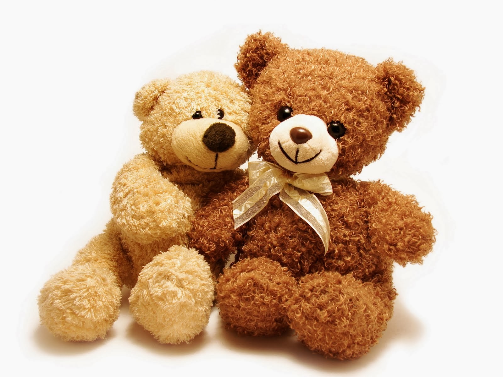 the-children-s-room-blog-everybody-loves-a-teddy-bear