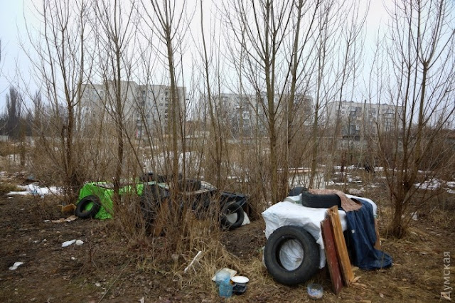 фото убитой собаки