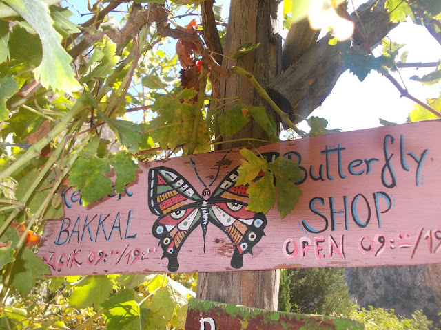 DOMİNO TŞLRI Fethiye\Ölüdeniz\Kelebekler Vadisi