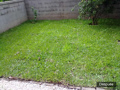 JARDINERIA Y PAISAJISMO DEL NORTE