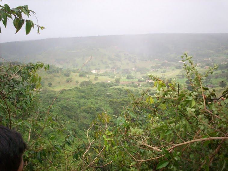 Vista do alto da mata do sítio Mata do Catimbau