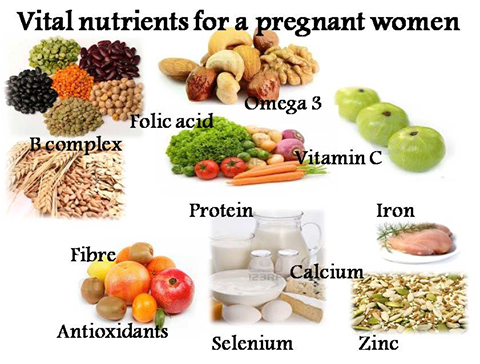 Dha Rich Food List For Pregnancy Dha Rich Food List For Pregnancy