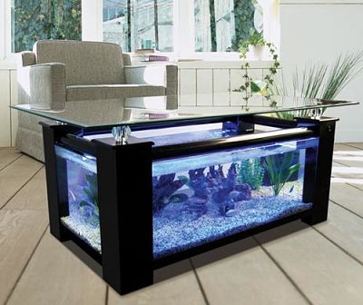 Contoh Aquarium Meja Yang Keren Unik Dan Menarik Dunia Akuarium