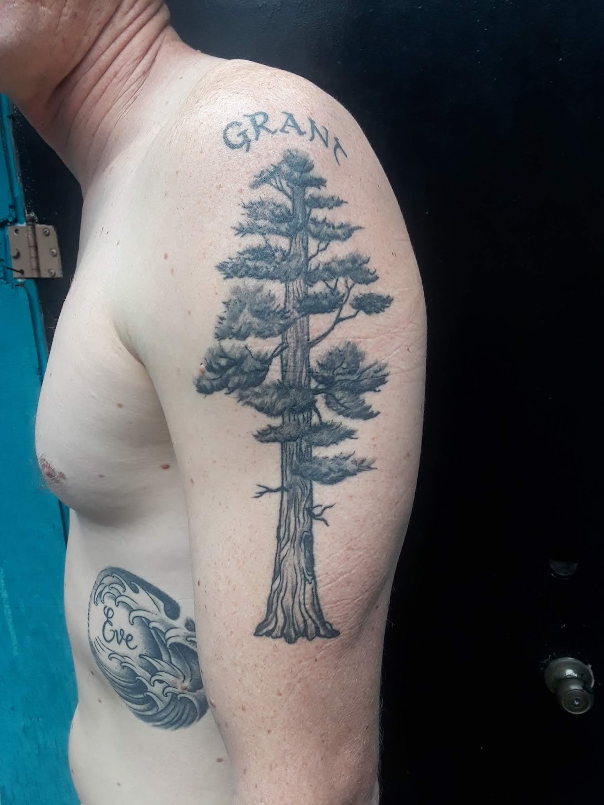 East Coast Worldwide on Twitter This client grew up in the redwood  forests so she had a beautiful redwood tree tattooed on her spine by Alex  Gama blackandgrey blackandgreytattoo igersjax 904 904tattoo 
