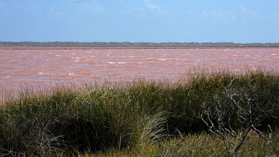 Pink Hutt Lagoon