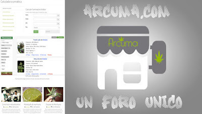 Foro Arcuma Foro Arcuma: Uno de los foros cannábicos más visitados