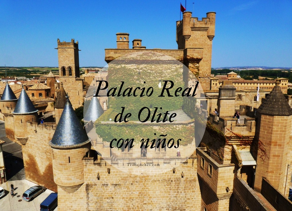 Excursión al Castillo Palacio de Olite con niños: visita y | Trotajoches