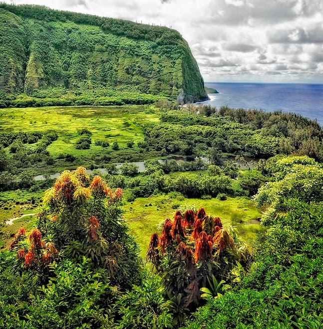 Sizzling Tourist Hotspots in Hawaii | Waipio Valley on the Hamakua Coast of the Big Island, Hawaii Sizzling Tourist Hotspots in Hawaii | Waipio Valley on the Hamakua Coast of the Big Island, Hawaii