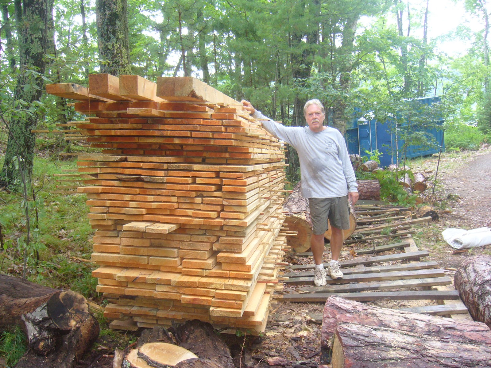 Building the New Cabin Our Trees Are Now Useable!