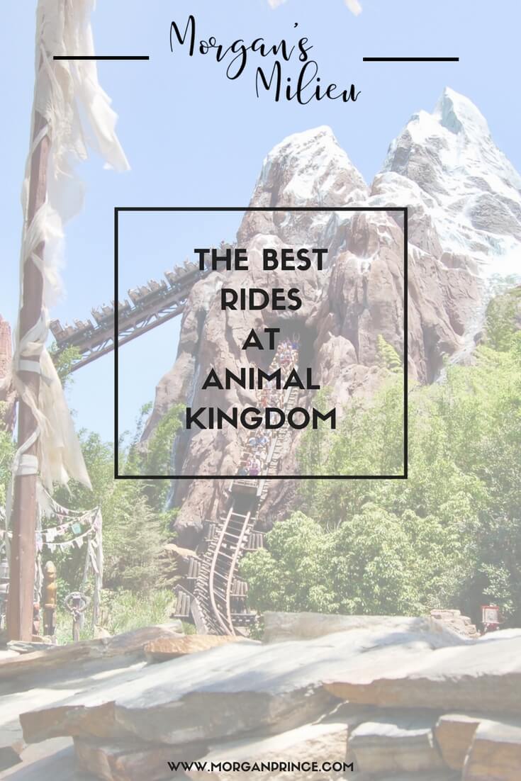 Want to know what the best rides are at Animal Kingdom, Walt Disney World? Look no further!